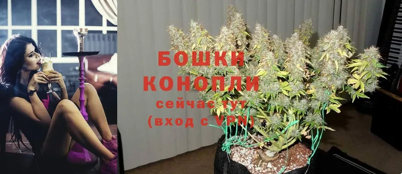 где продают наркотики  нарко площадка формула  МАРИХУАНА SATIVA & INDICA  Алейск 